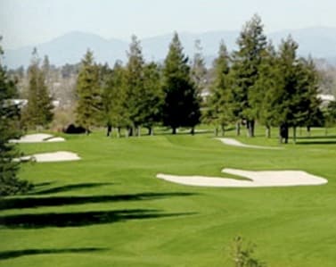 course image