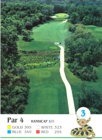 course image