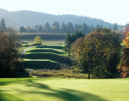 course image