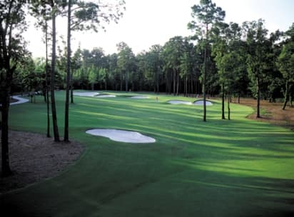 course image