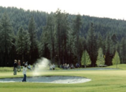 course image