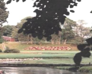 course image