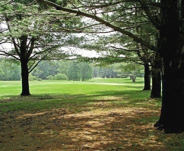 course image