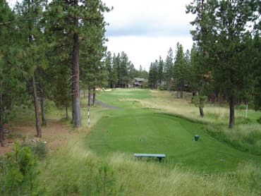 course image