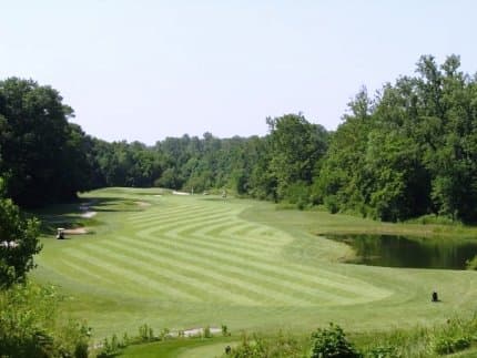 course image