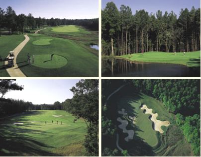 course image