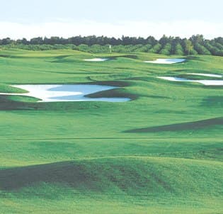 course image