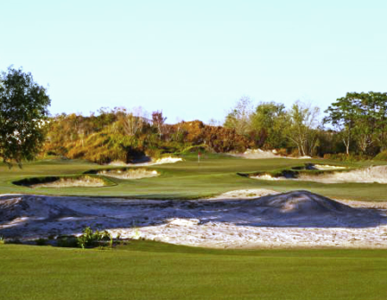 course image