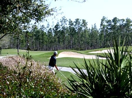 course image