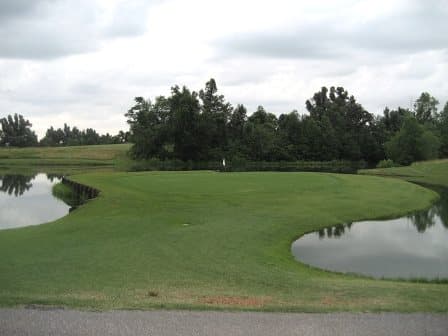 course image