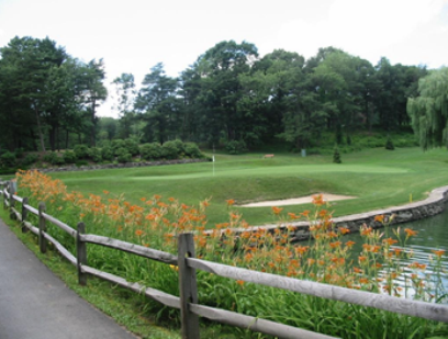 course image