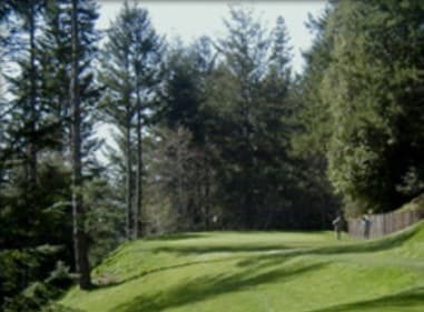 course image