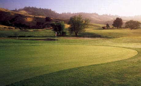 course image