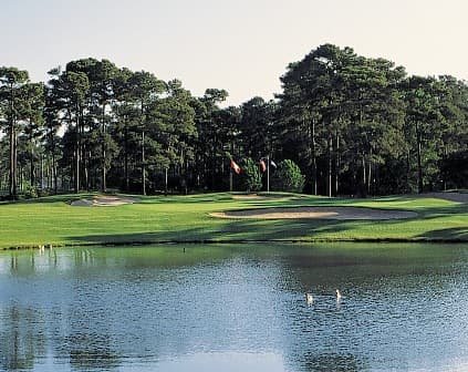 course image