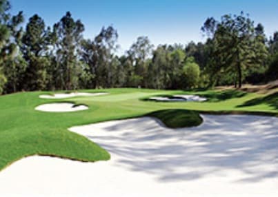 course image