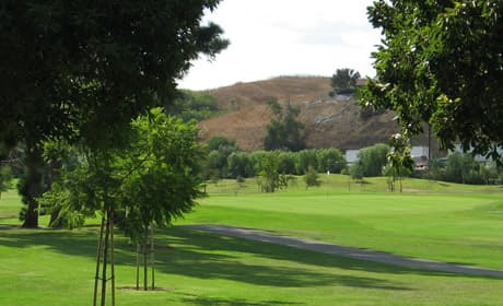 course image