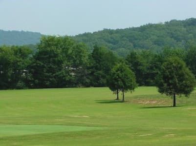 course image