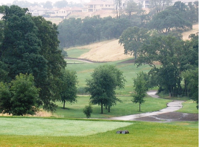 course image