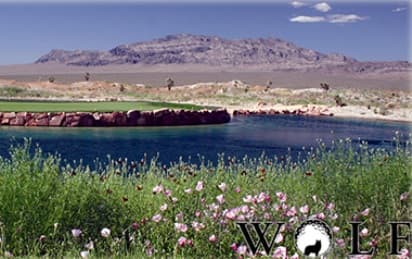 course image