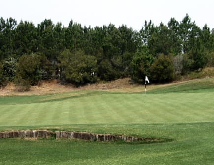 course image