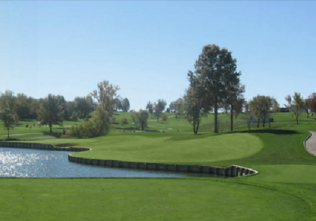 course image