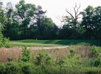 course image