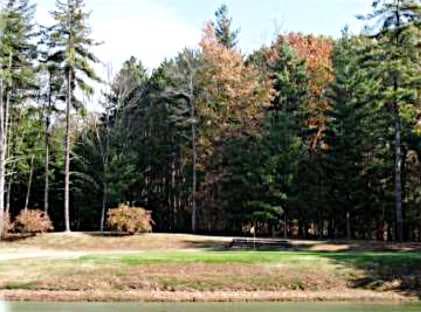 course image