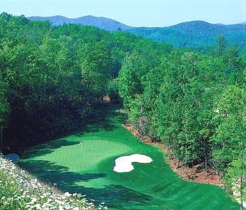 course image