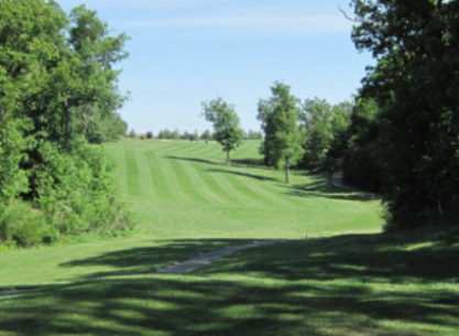 course image