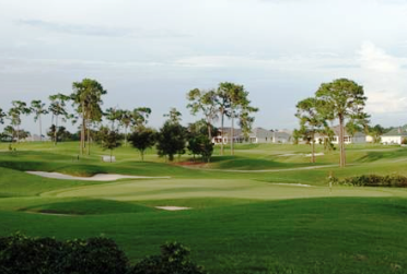 course image