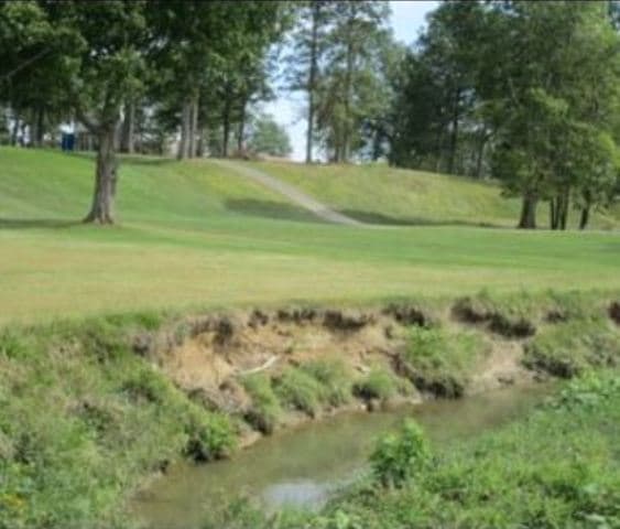 course image