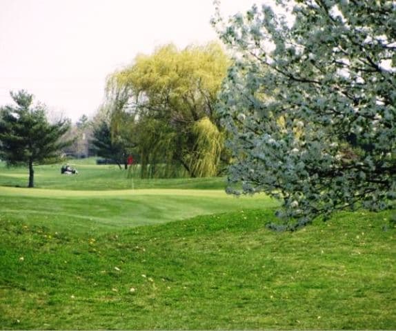 course image